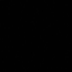 Meet your Posher, Manuela